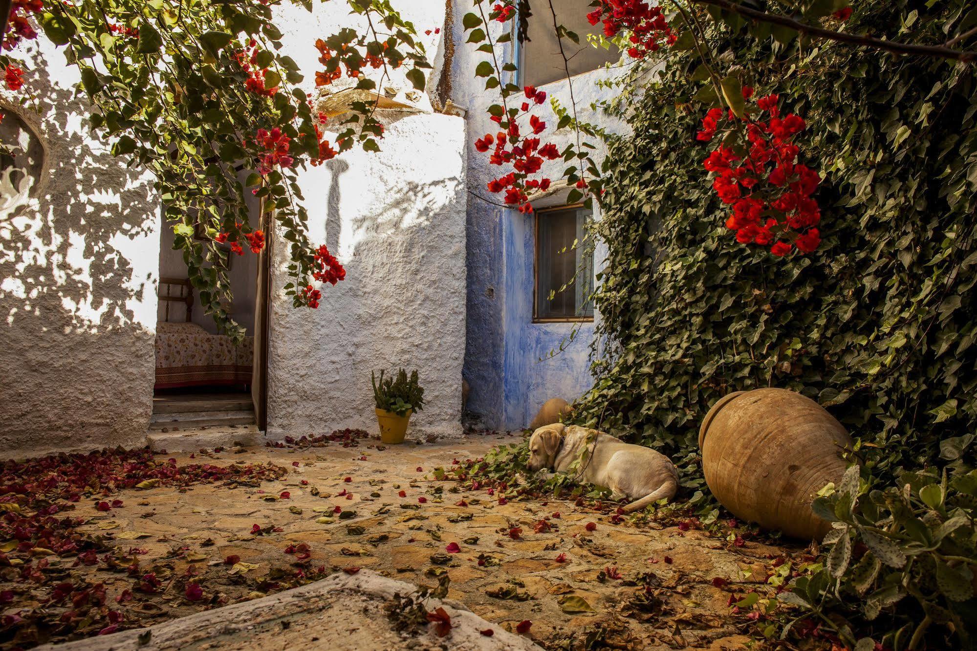 Casa Rural Aloe Vera Huércal-Overa Buitenkant foto